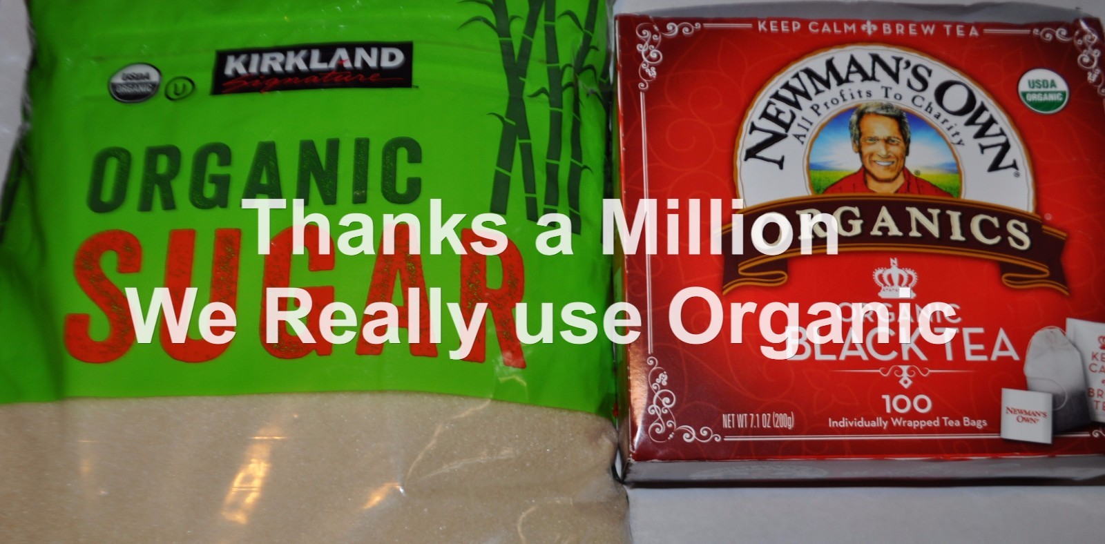 3" Live KOMBUCHA FRESH SCOBY STARTER TEA ORGANIC Free shipping