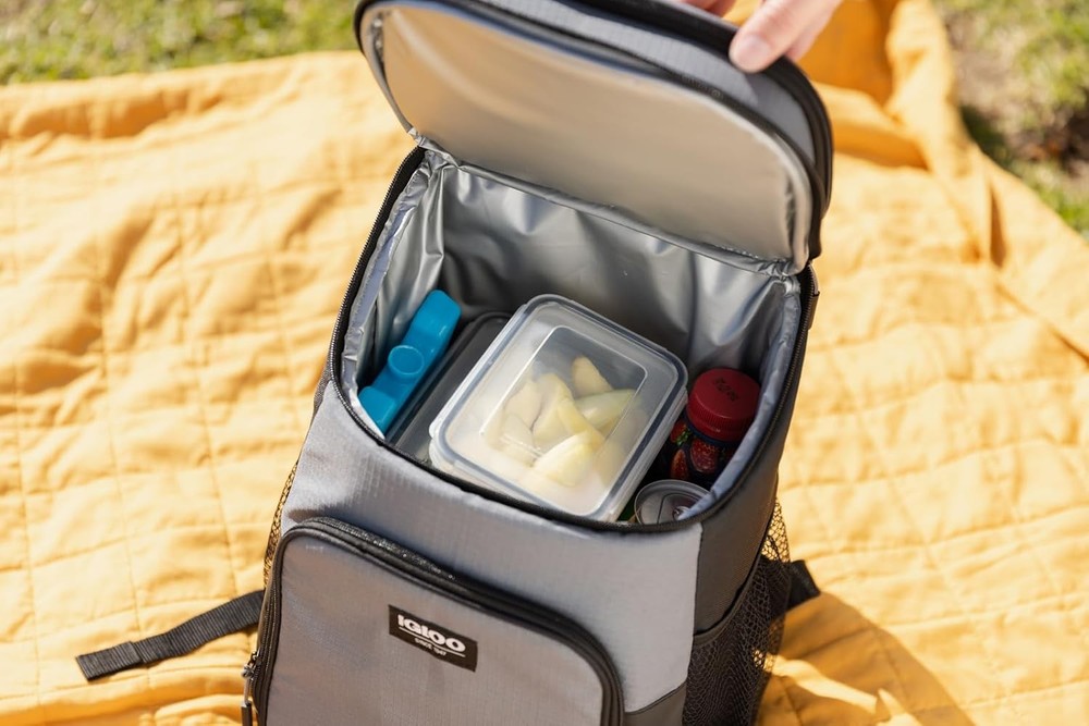 Igloo Maxcold Ice Blocks, Long Lasting Cold Freezer Packs Large, 2PK Large