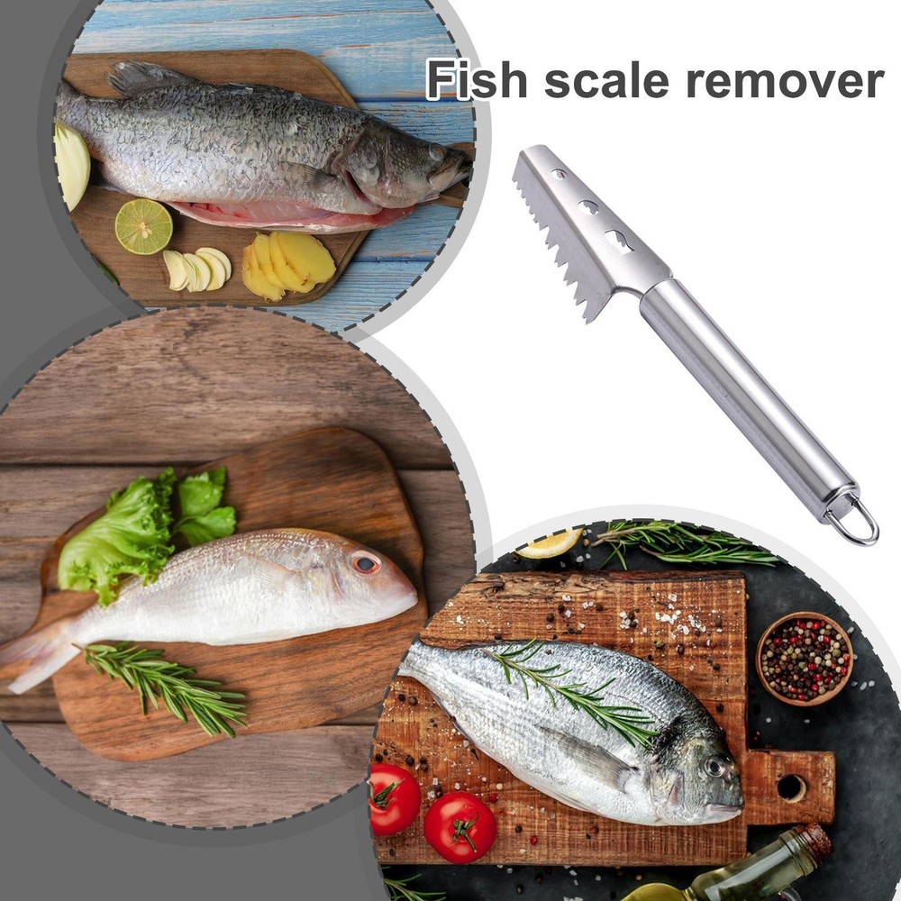 Stainless Steel Fish Scale Remover Scaler Tool Solid Construction Home Kitchen