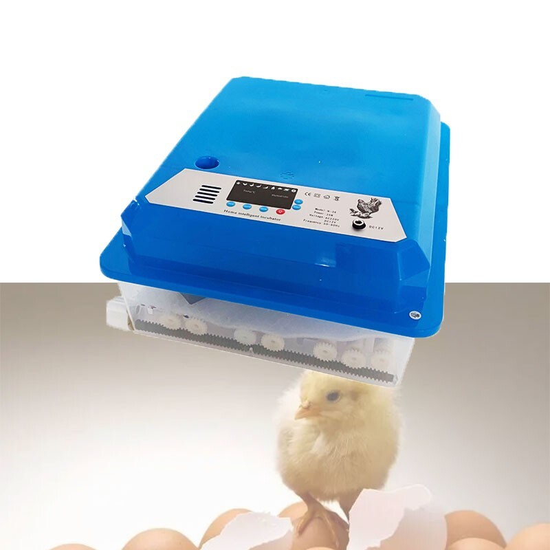 36 Egg Incubator Automatic Digital Temperature Control Quail Hatcher 110V