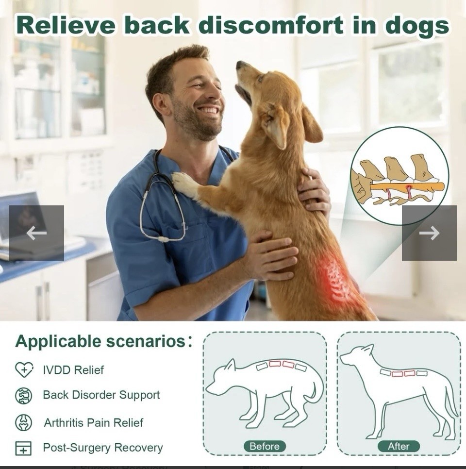 Haggemi Dog Back Brace Support-XL