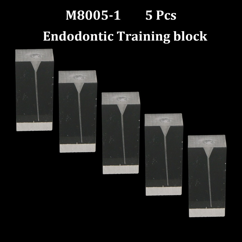 Dental Typodont Root Canal Practice Endodontic Training Block Teeth Model M8005