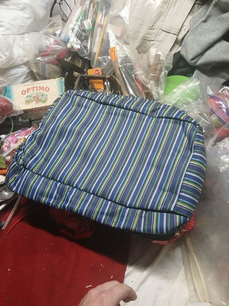 blue striped insulated bag with a reflective interior lining,