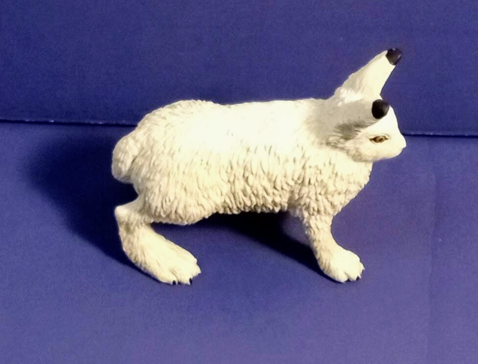 Safari arctic hare rabbit #182129