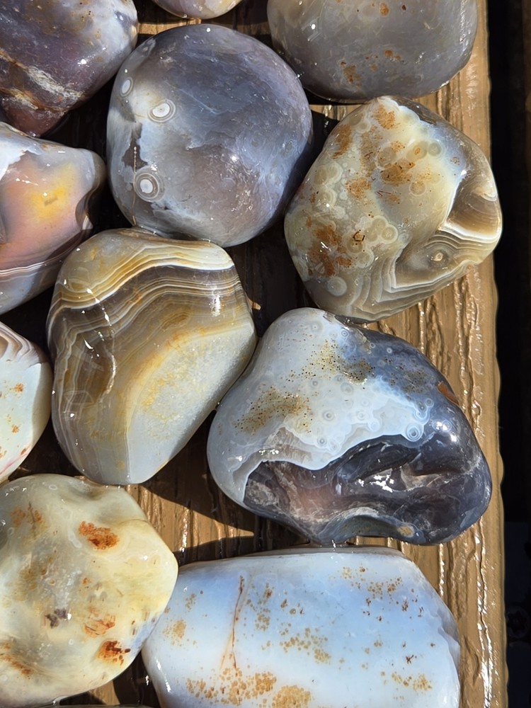 Botswana Agate Selects - SPOTS AND DOTS - Rough, Natural, Not Polished A+ Grade