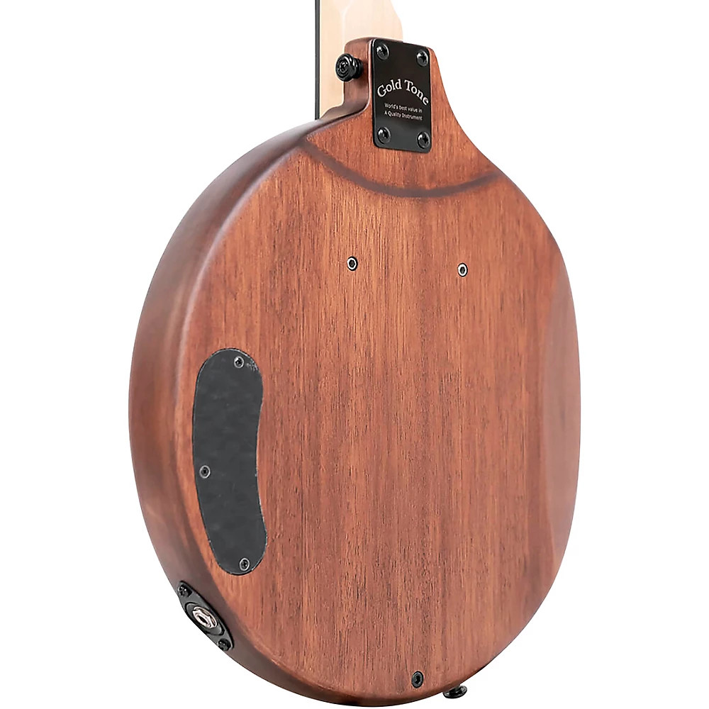 EB-5 Electric Banjo