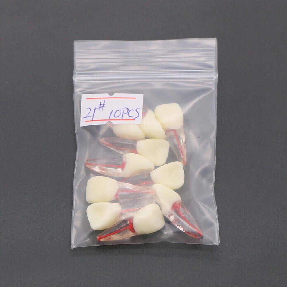 10 Pcs Dental Autoclavable Endo Root Canal Teeth Model Study Practice Typodont