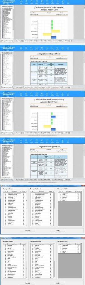 Sector Version Quantum Analyzer with Multi Therapy Device in 1 Magnetic Analyzer