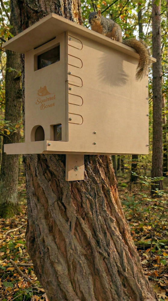 Squirrel Box Watchtower Nest House Camera Compatible With Multiple Models V2