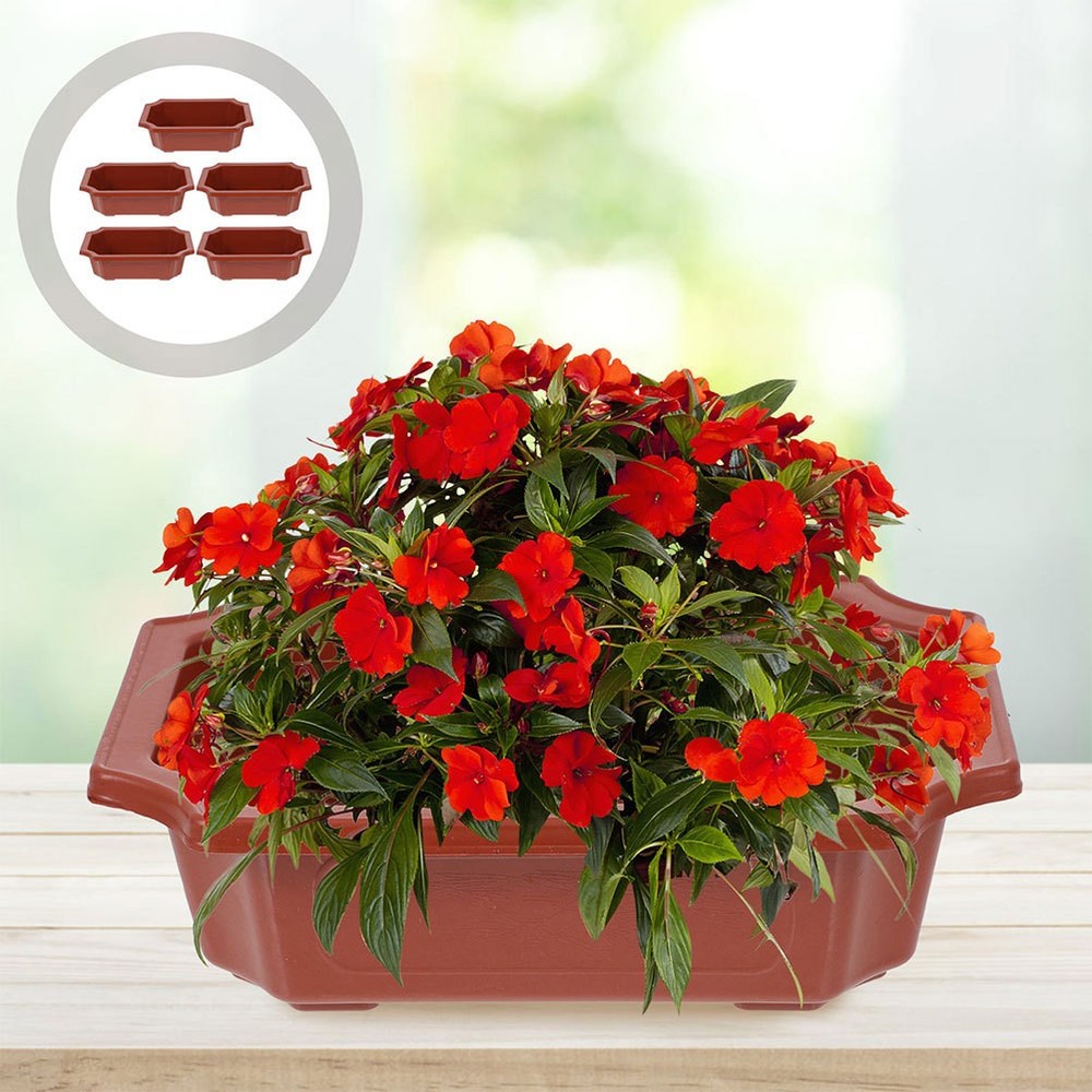 10 Pcs Vintage Rectangular Plastic Bonsai Flower Pots for Succulent Gardening