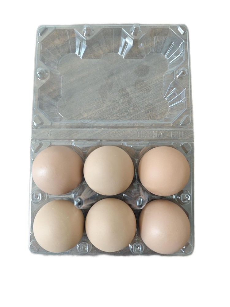 Poultry Artificial Eggs - Guided Laying for Chicken Coops, Peck-Resistant Cer...