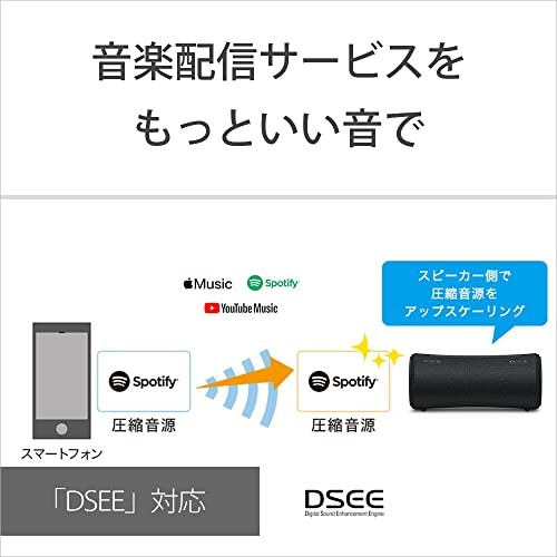 Sony Wireless Speaker SRS-XG300 BC Black Bluetooth USB