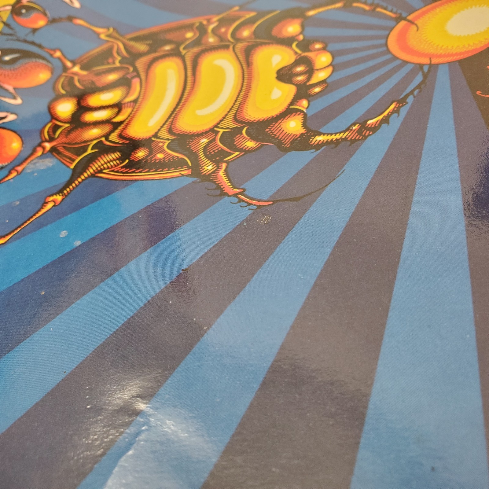 Jimi Hendrix Winterland 1968 Psychedelic Poster Rick Griffin Moscoso BG-140