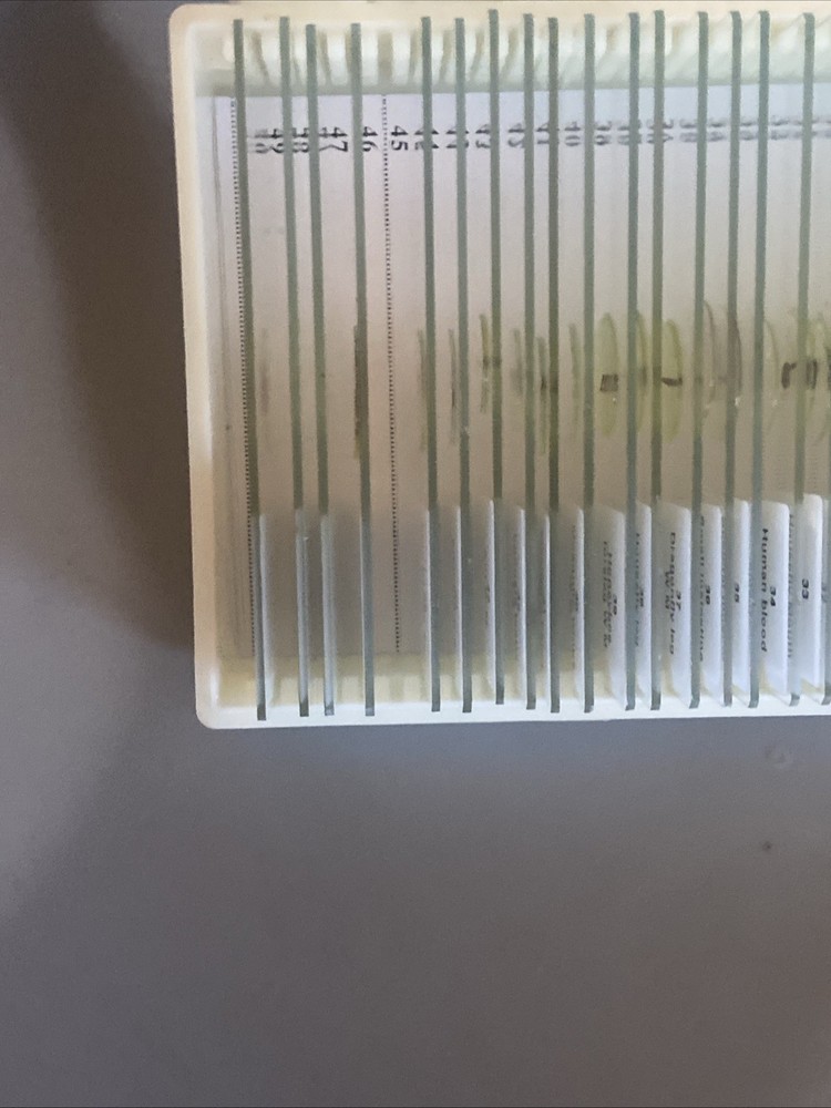 Maxlapter 49 Microscope prepared slides Insect Plant Human Microorganisms