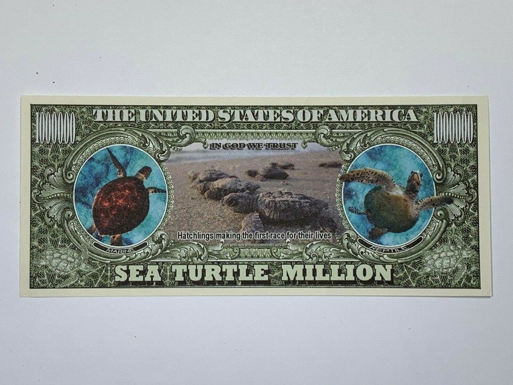 2020 Sea Turtle Hatchling Million Dollar Novelty Note