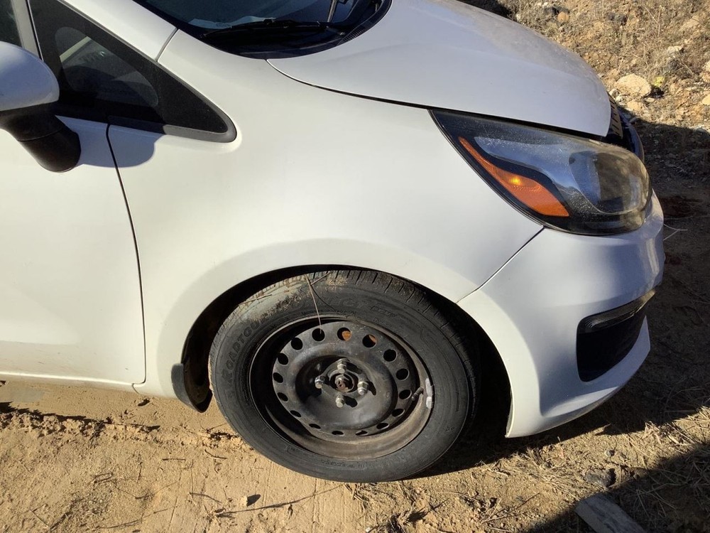 RIO 2017 Glove Box 4914855