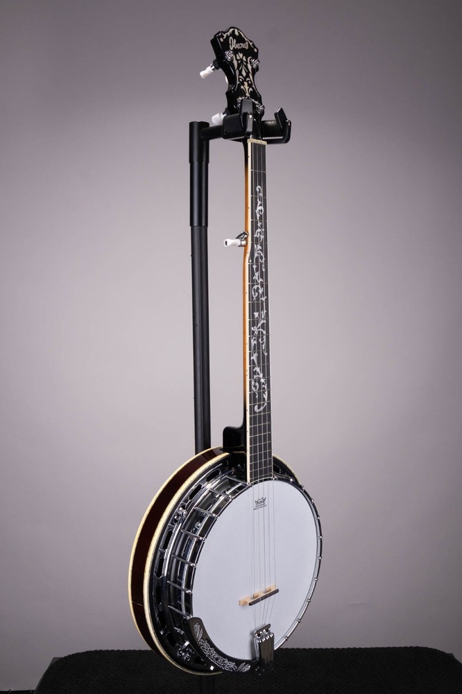 Ibanez B300 5 String Closed Back Banjo Natural