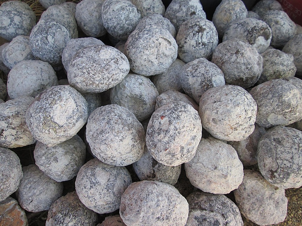 2" ~ 95% HOLLOW COCONUT GEODES ROUGH ~ $10 EACH