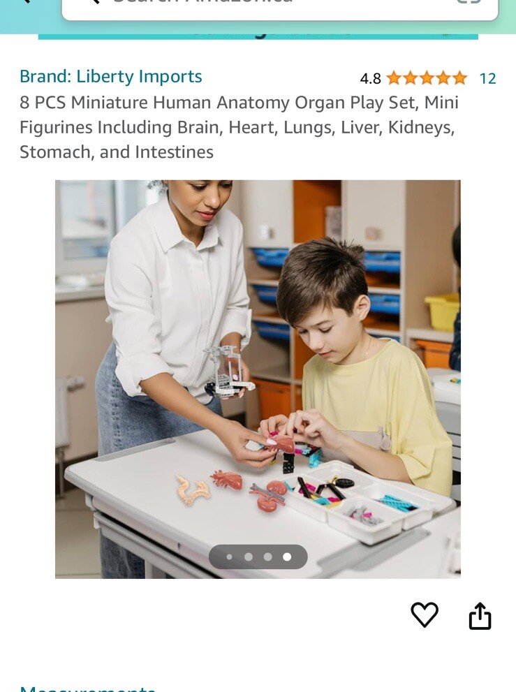 Aerospace Architecture: 8 Pcs Mini Human Anatomy