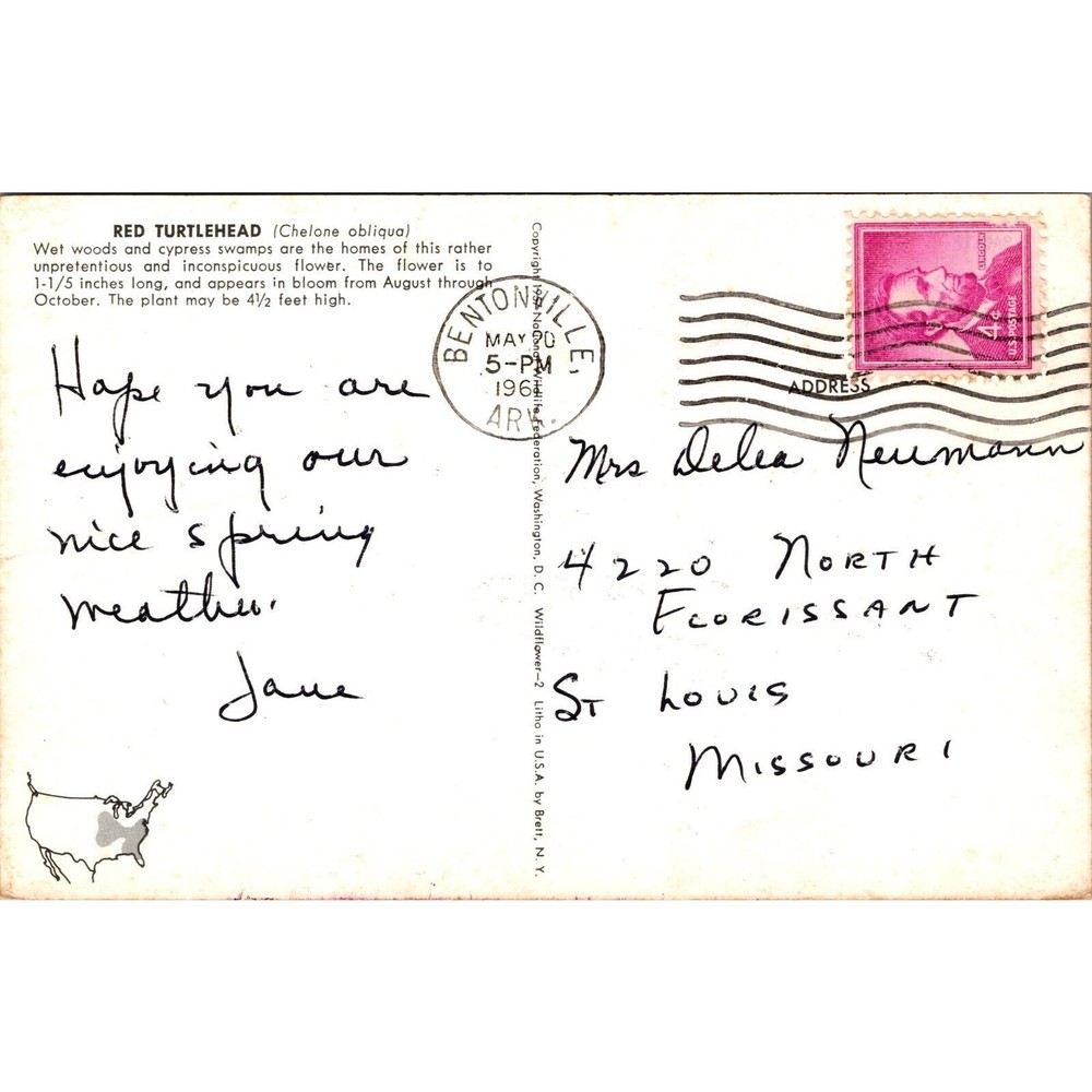 Red Turtlehead Flower Postcard PC18