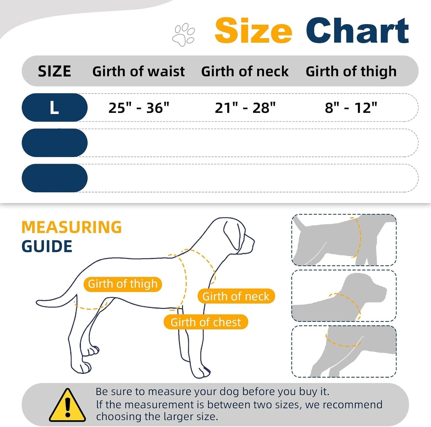 CHAMIN Dog Hip Brace With Back Handheld Design For Hip Dysplasia L - Open Box