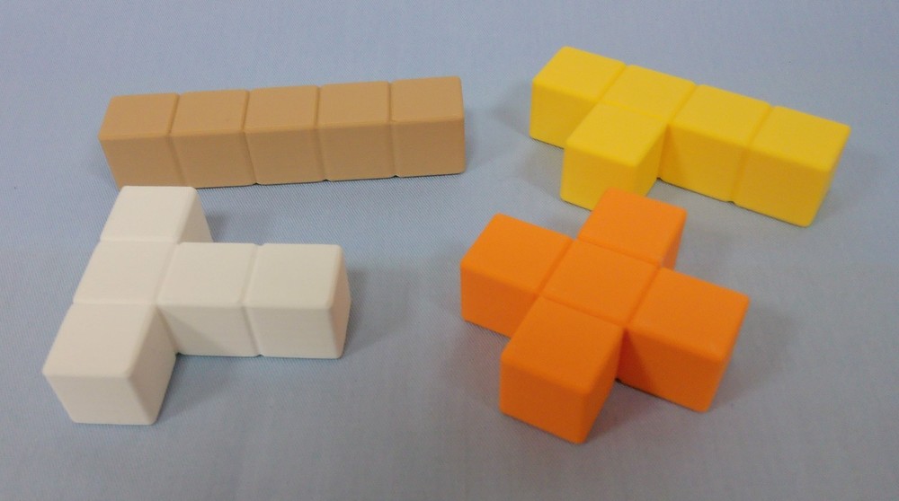 3-D Printed Pentominoes Puzzle