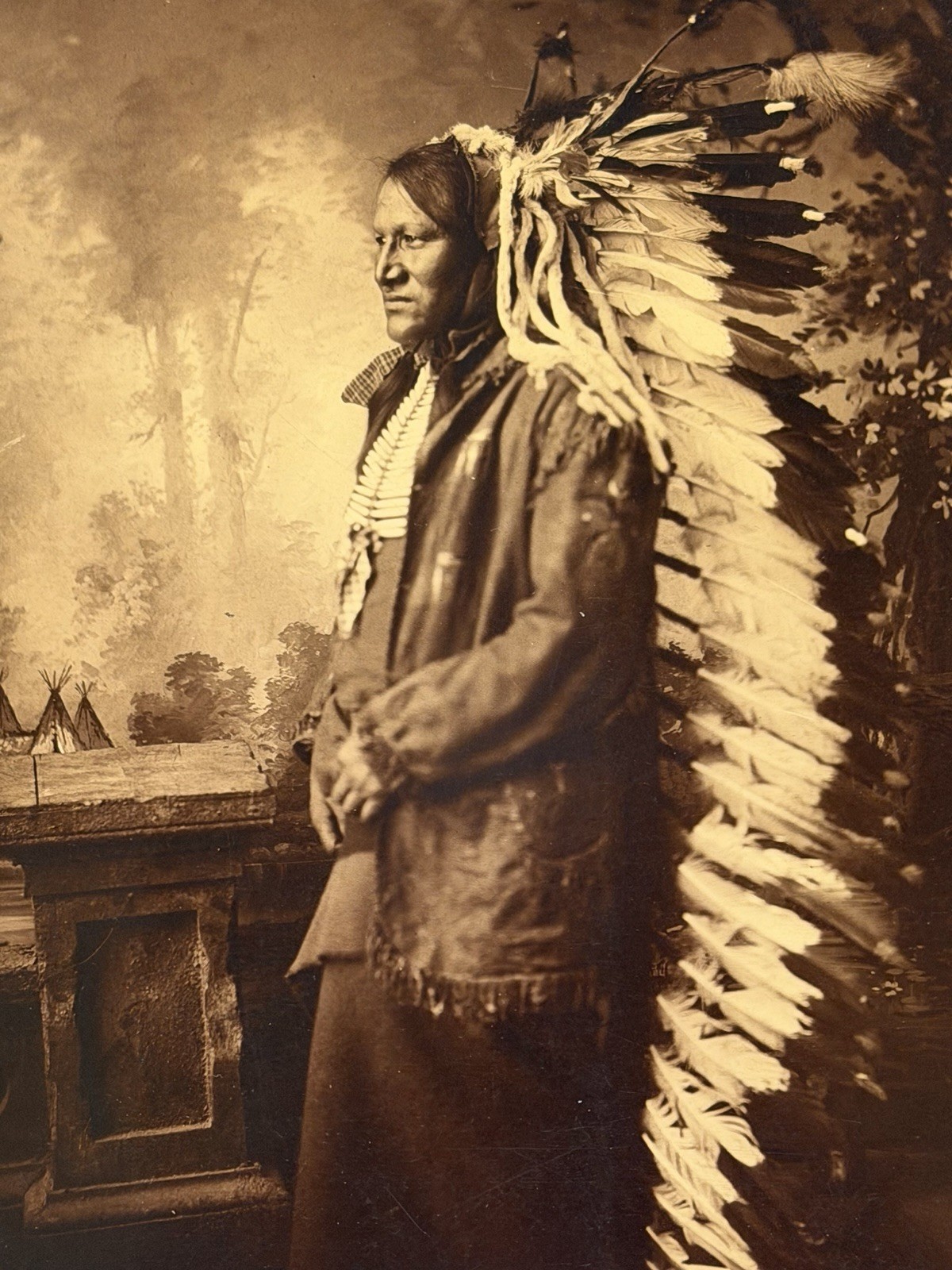 Antique Native American Indian Albumen Print "Chief John Grass" By: D. F. Barry