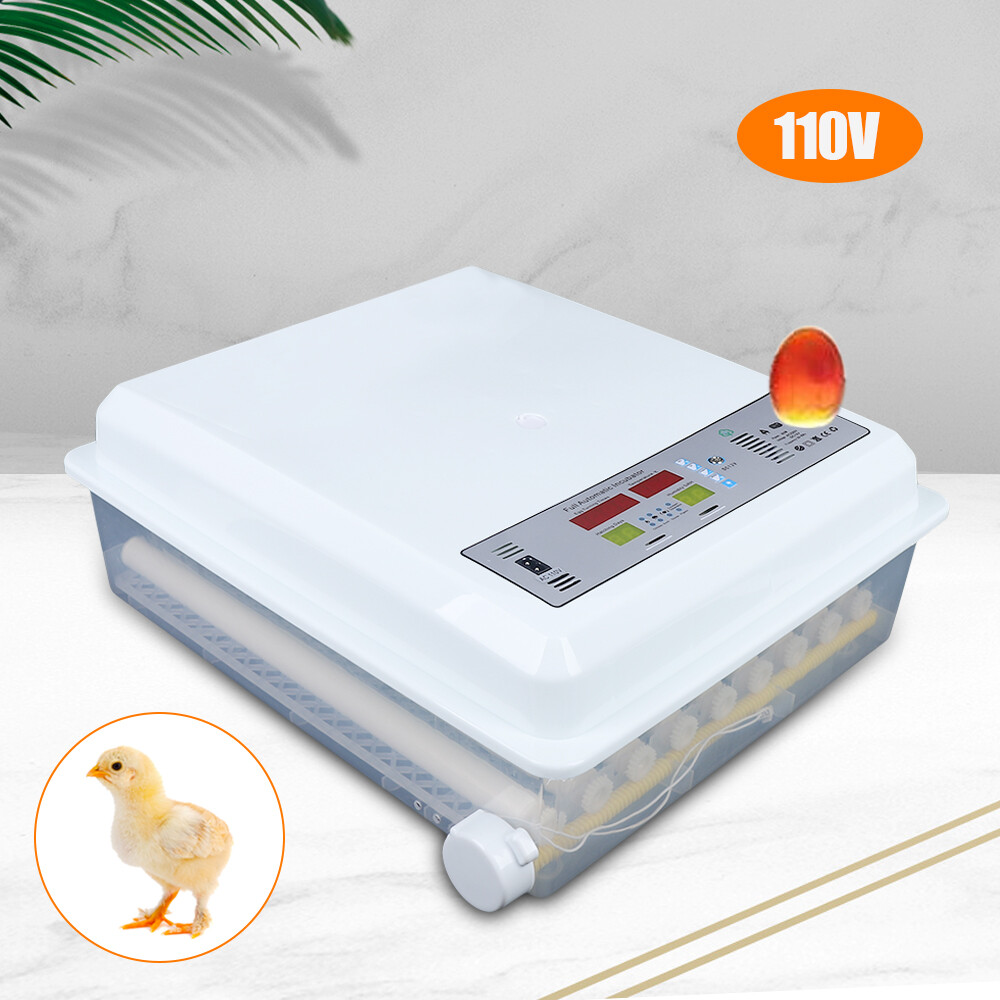 Egg Incubator 64 Eggs Fully Digital Automatic Hatcher Fits Hatching Chicken Farm