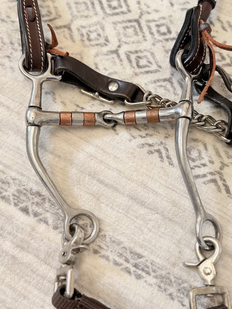 Western Bridle Set