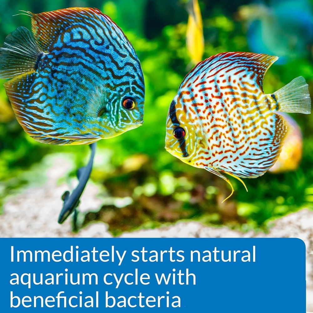 API QUICK START Freshwater And Saltwater Aquarium Nitrifying Bacteria 1-Ounce