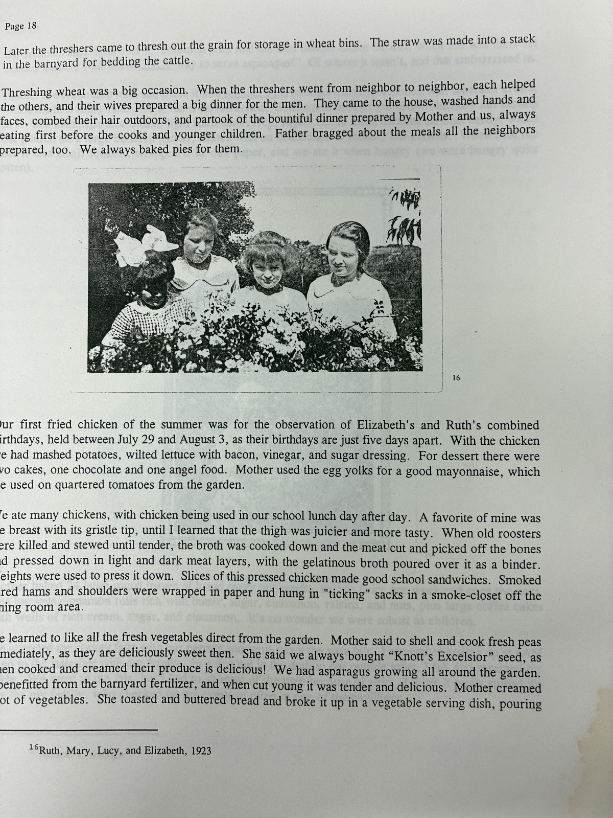 1900s Farm Family Rural Life History Muskingum County Ohio Typed Diary Memoir