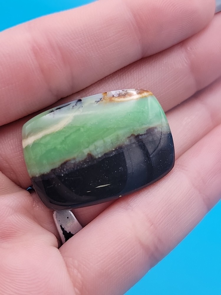 Indonesian Blue Opalized Petrified Wood Cabochon