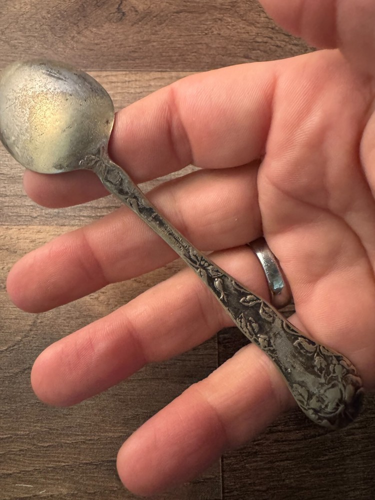 1877 Niagara Falls Silver Co. Silverplated Teaspoon Wild Rose Pattern