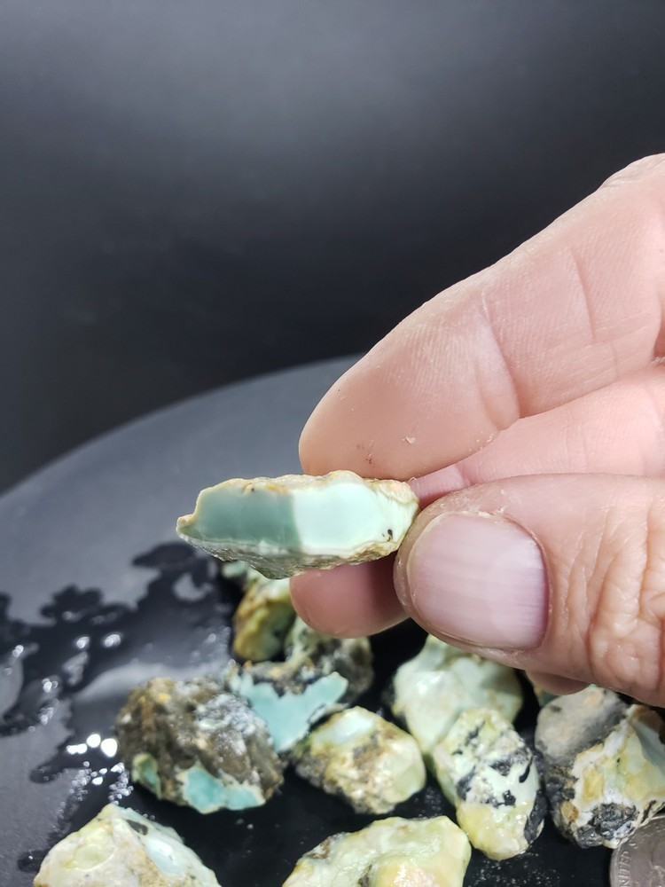Nevada Gecko Variscite Rough 1/4 Lb