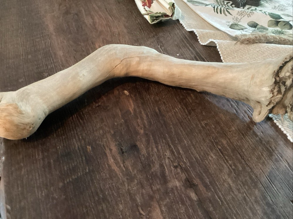 Mammoth Bone