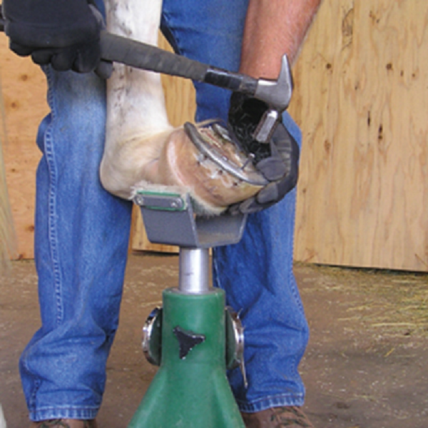 HOOFJACK farrier hoof jack stand HORSE SIZE Green natural trim shoeing