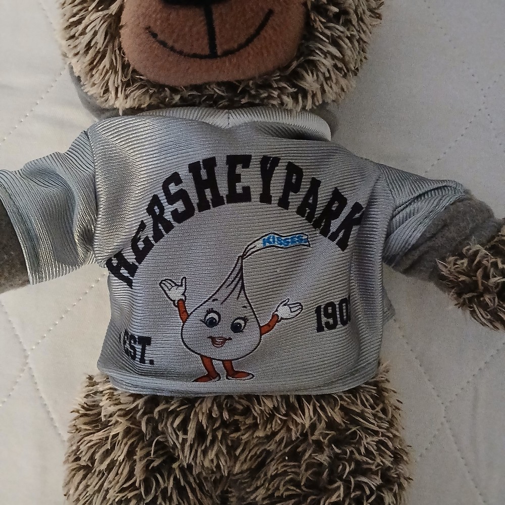 Hershey Park bear from 2015