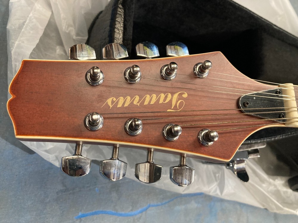 Taurus Mandolin TM-003 (Damaged case, cosmetic damage)