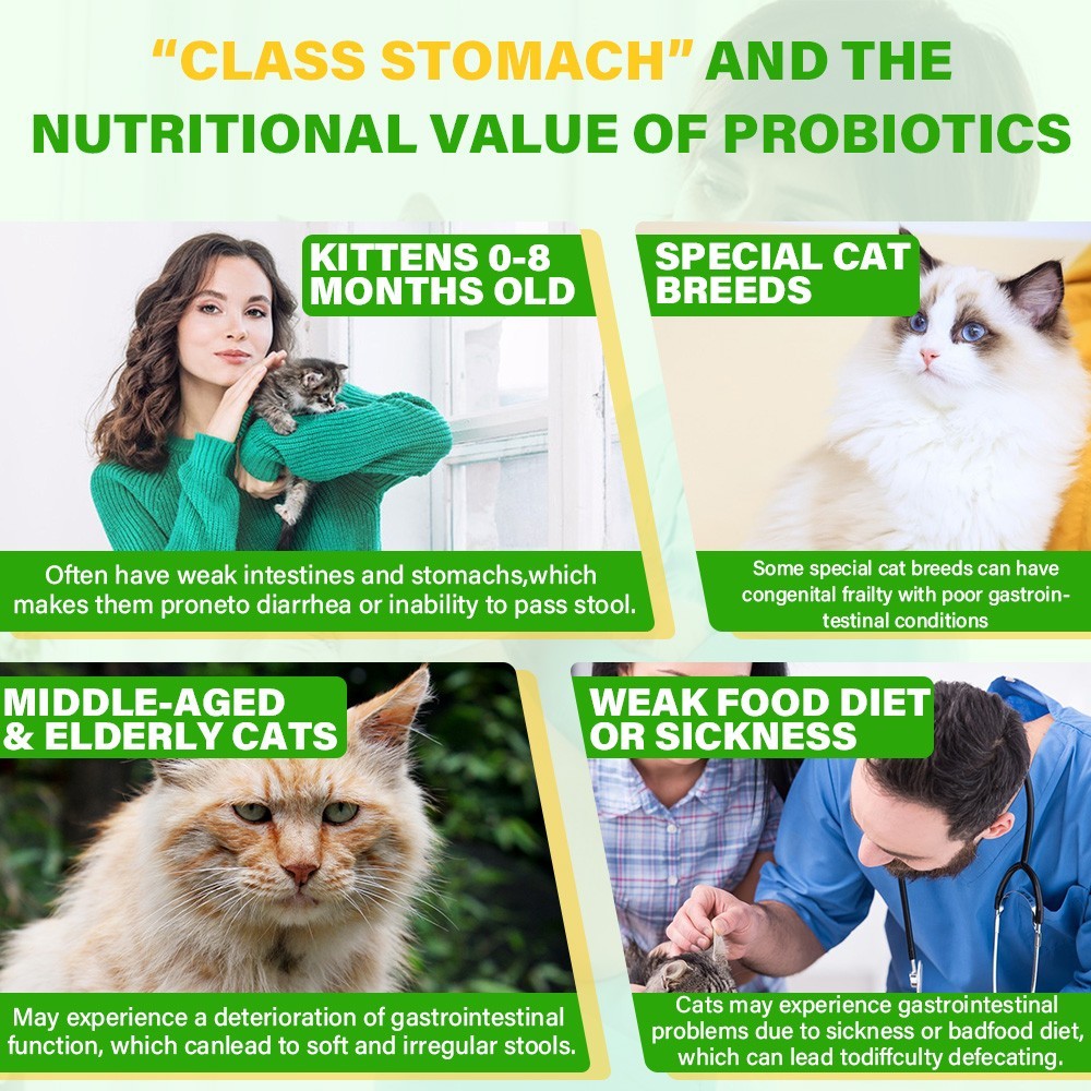 Cat Constipation Relief, Constipation Relief for Cat, Cat Laxative Constipation