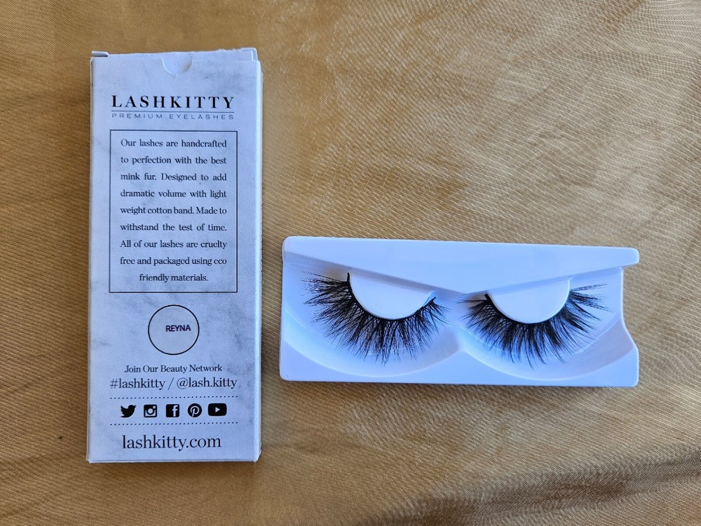 Lash Kitty In Reyna