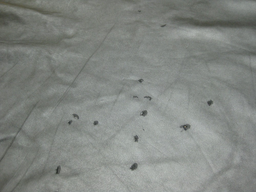 Black Italian Lamb Leather Hide #0010466