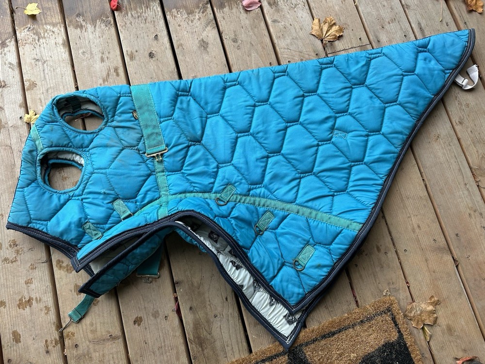 Horse Tack - Medium Quilted Big D Hood