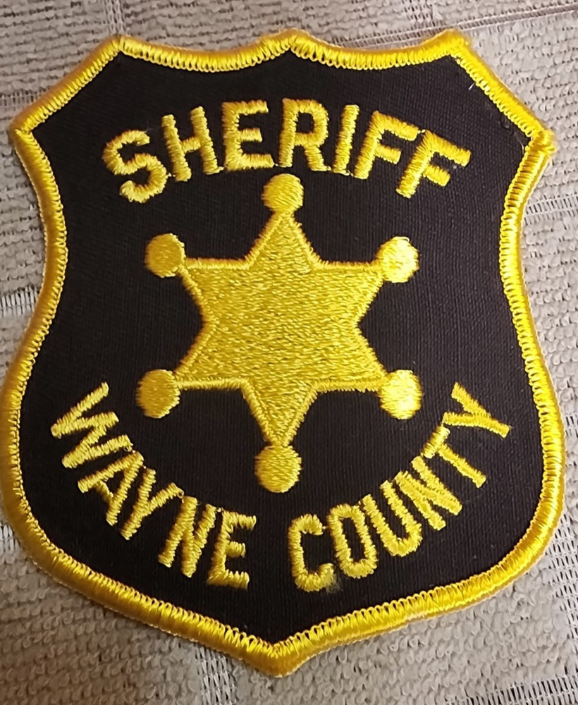 MI Wayne County Michigan Sheriff Department Patch