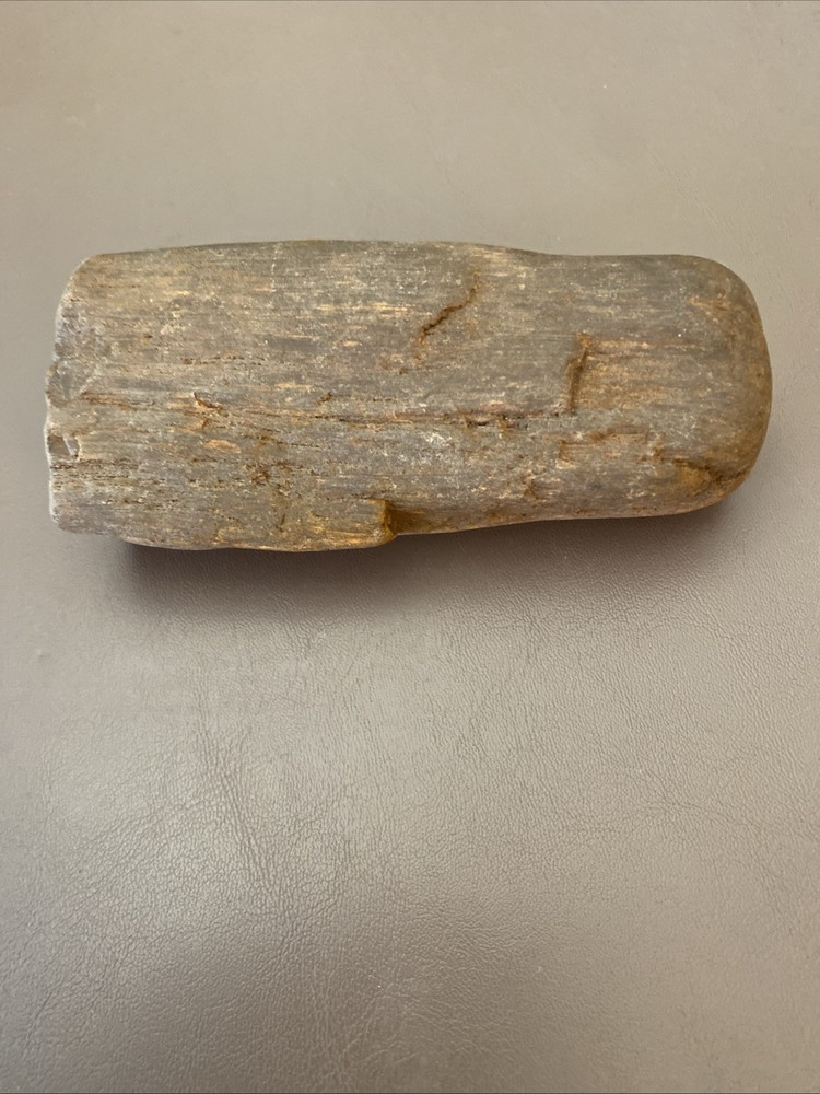 Petrified Wood