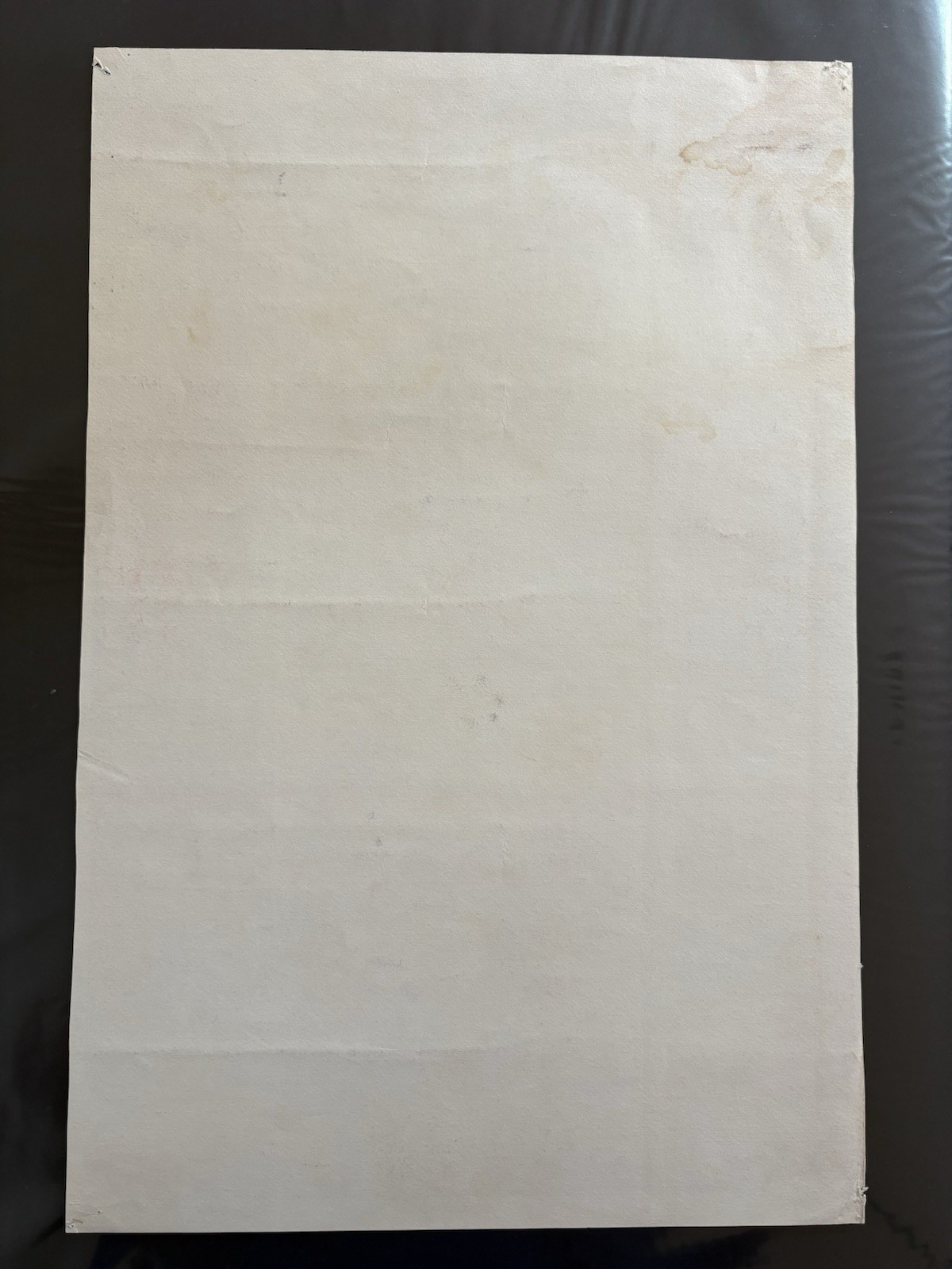 1966 BG-11 The Wailers Fillmore Auditorium Original Concert Poster Bill Graham