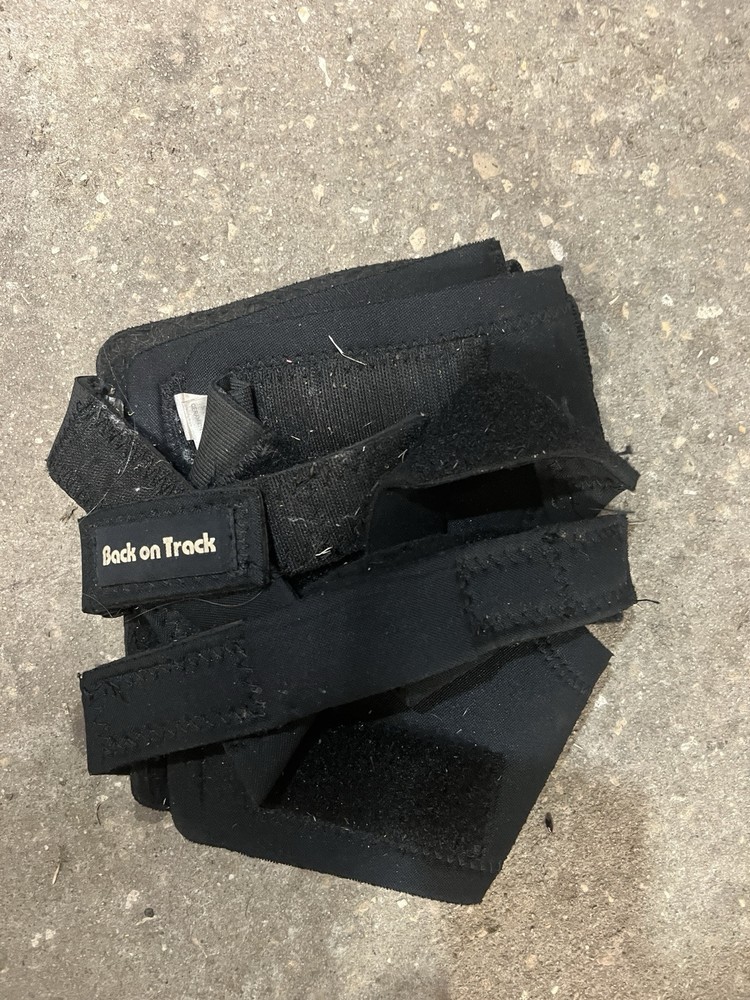 Back on Track Therapeutic Hock Boots