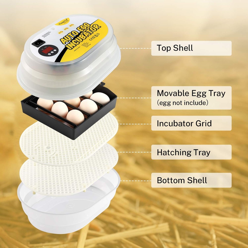 Mini Egg Incubators for Hatching Eggs, with Automatic Egg Turning, 9-12 Eggs ...