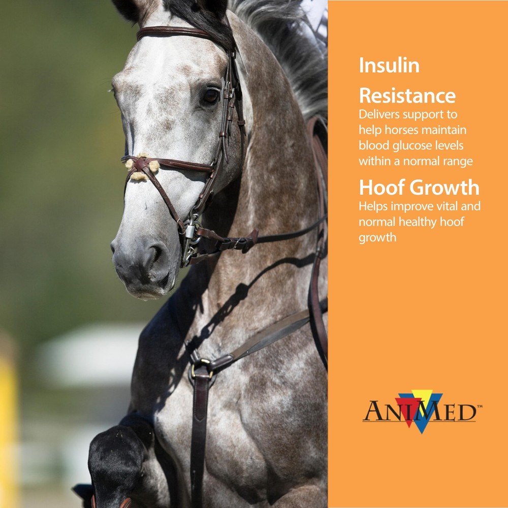 AniMed Remission 4 lb…