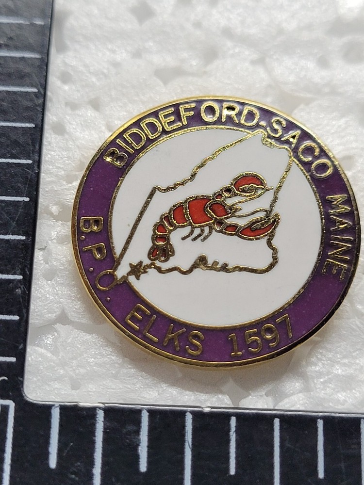 ELKS BIDDEFORD SACO MAINE HAT LAPEL PIN PIN BACK USED (M1346)