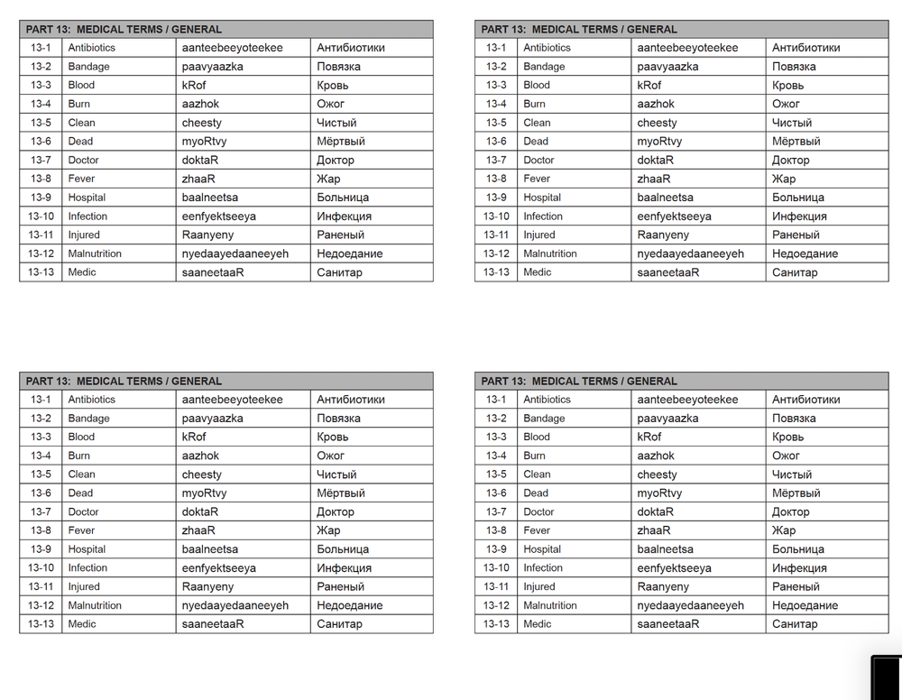Defense Language Institute DLI BASIC RUSSIAN Text & 600+ MP3 Files Audio CD